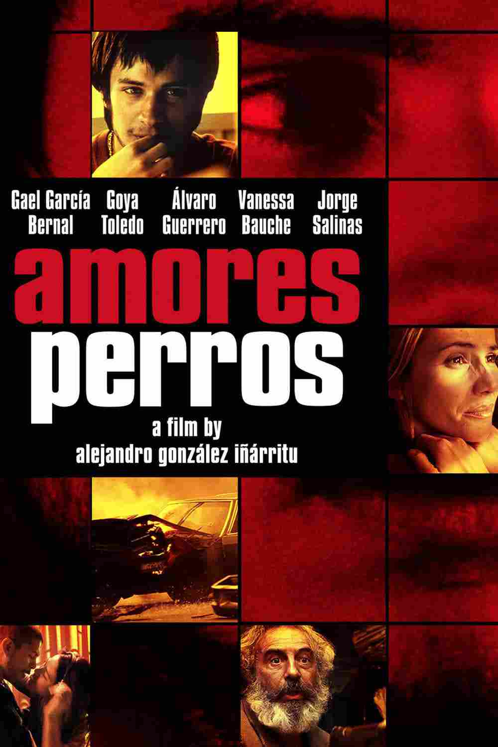 دانلود فیلم Amores perros