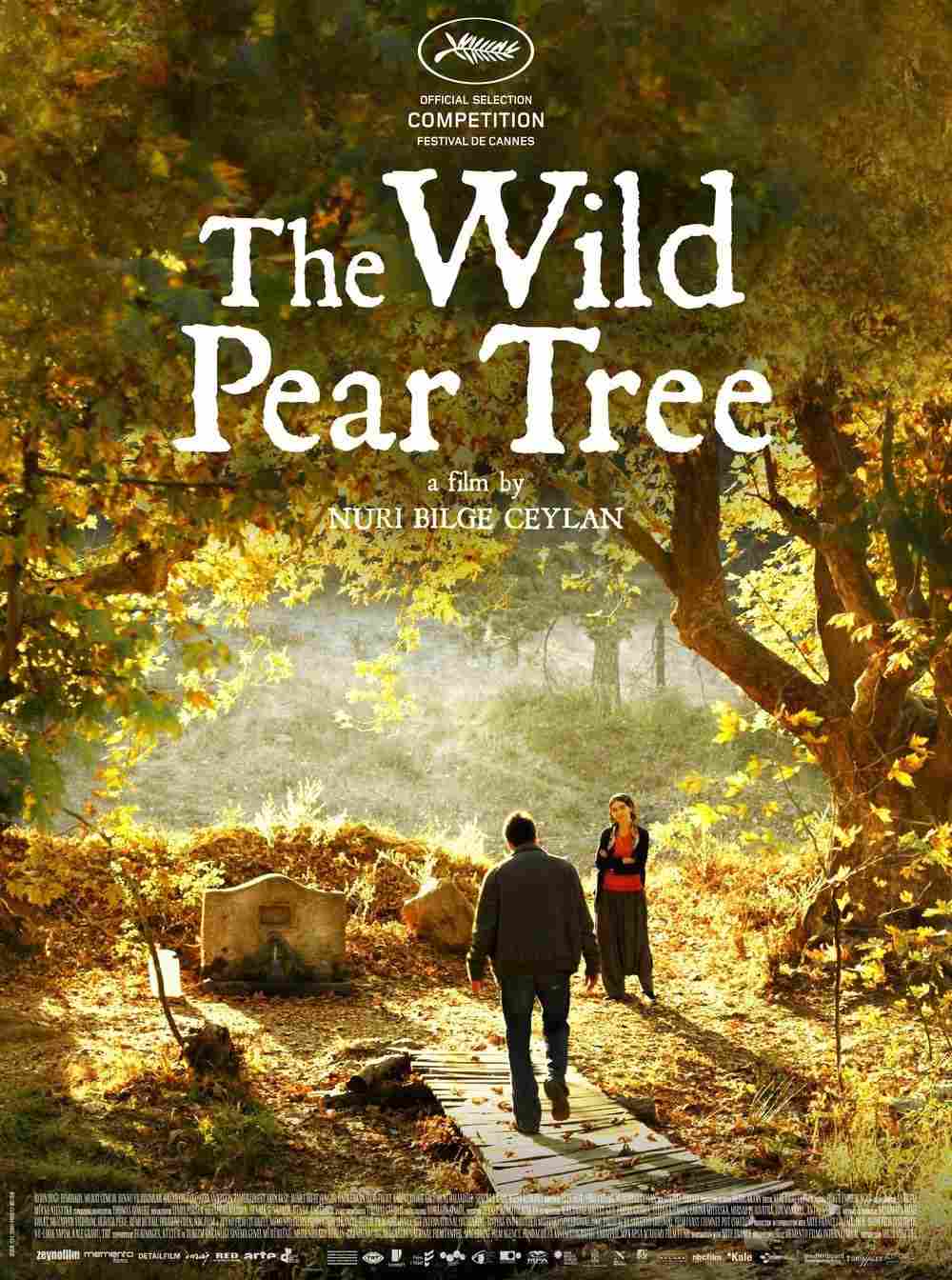 The Wild Pear Tree