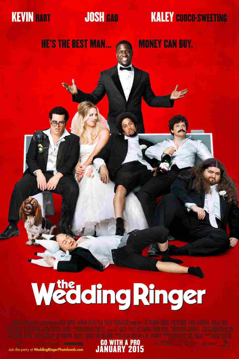 دانلود فیلم The Wedding Ringer