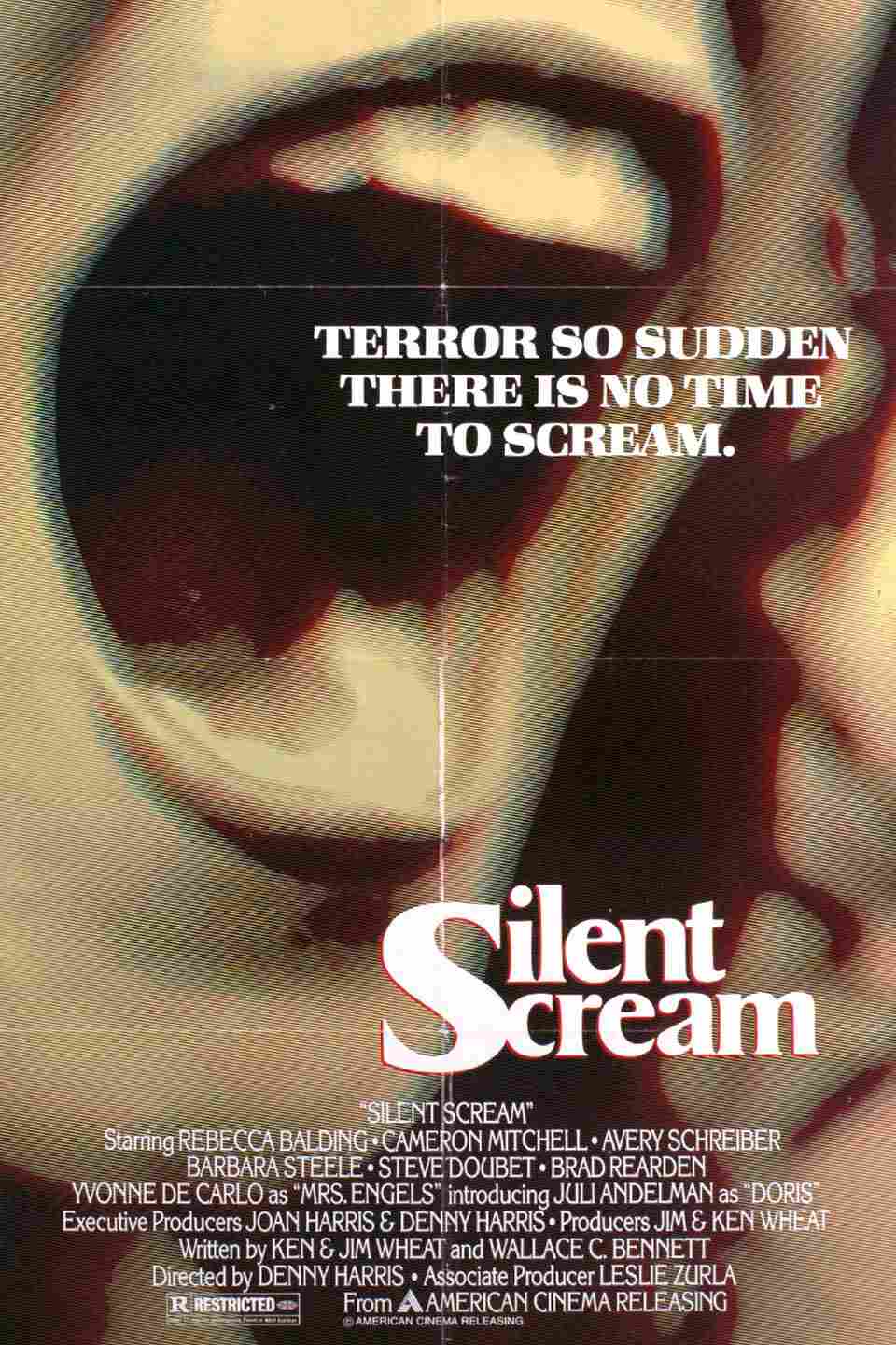 دانلود فیلم The Silent Scream