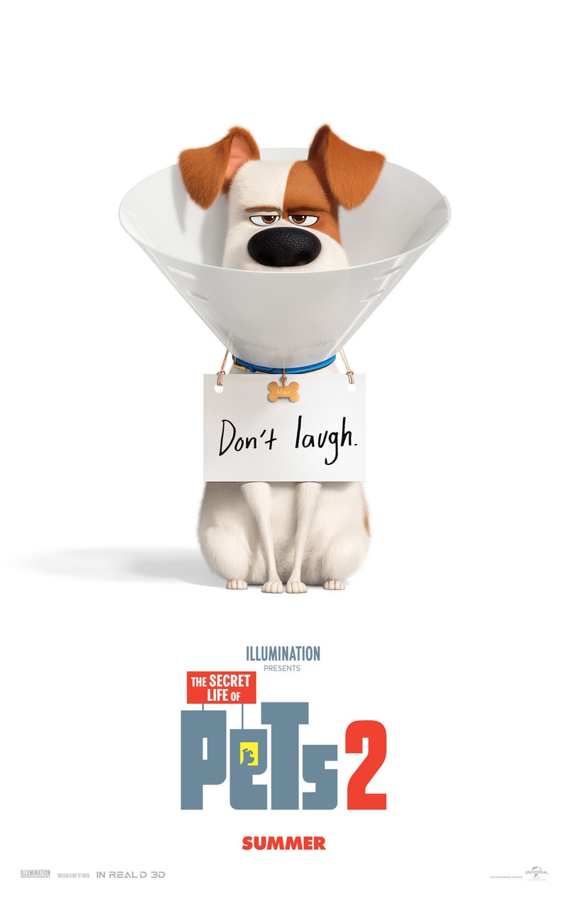 دانلود فیلم The Secret Life of Pets 2