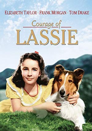 دانلود فیلم Courage of Lassie