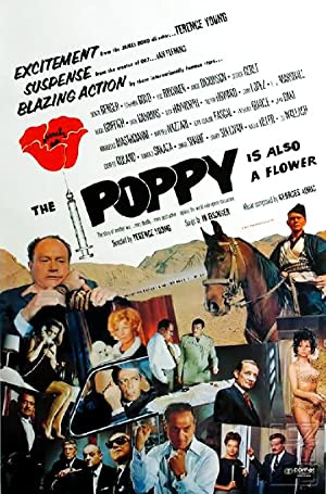 دانلود فیلم The Poppy Is Also a Flower