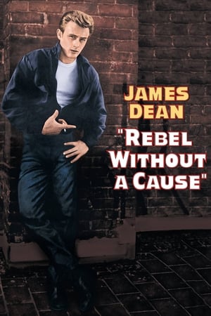 Rebel Without a Cause