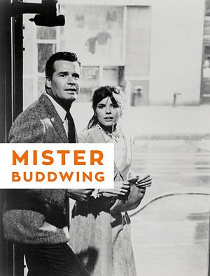 Mister Buddwing