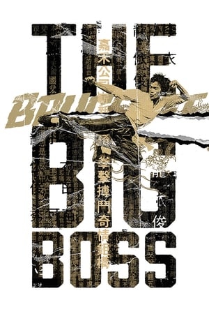 دانلود فیلم The Big Boss