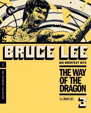 دانلود فیلم The Way of the Dragon