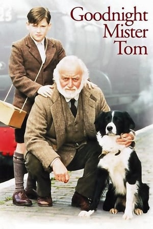 دانلود فیلم Goodnight Mister Tom