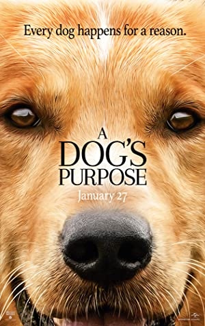 دانلود فیلم A Dogs Purpose