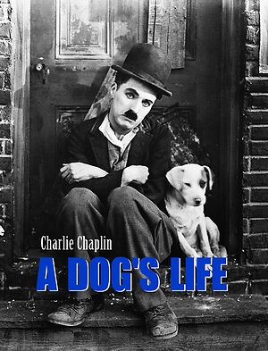 دانلود فیلم A Dogs Life