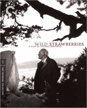 Wild Strawberries