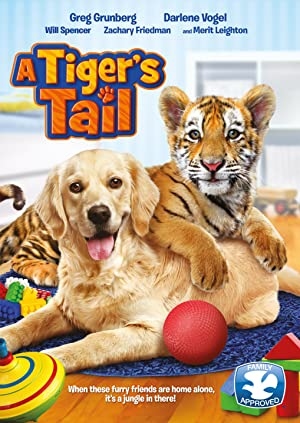 دانلود فیلم A Tigers Tail