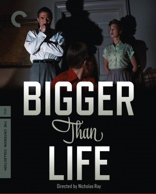 دانلود فیلم Bigger Than Life