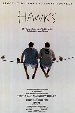 دانلود فیلم Hawks