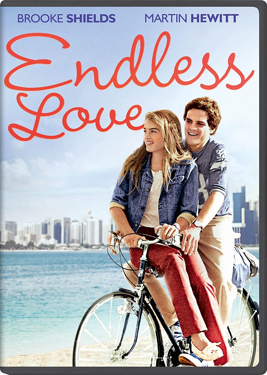 دانلود فیلم Endless Love