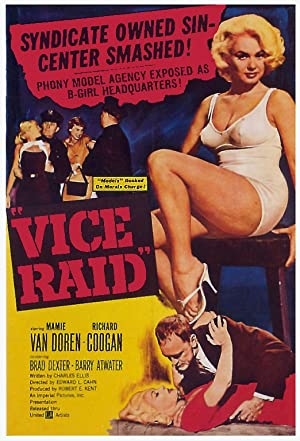 دانلود فیلم Vice Raid