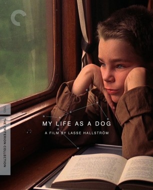 دانلود فیلم My Life as a Dog