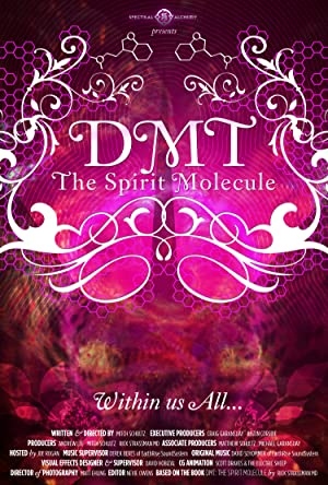 دانلود فیلم DMT The Spirit Molecule