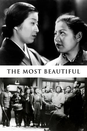 دانلود فیلم The Most Beautiful