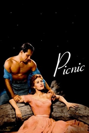 دانلود فیلم Picnic