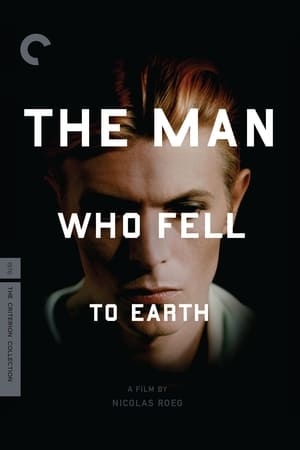 The Man Who Fell to Earth