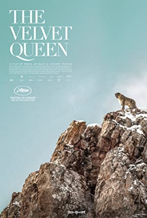 دانلود فیلم The Velvet Queen