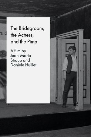 دانلود فیلم The Bridegroom the Comedienne and the Pimp