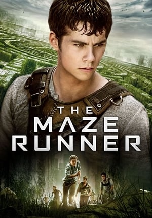 دانلود فیلم The Maze Runner