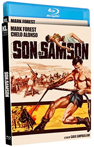 Son of Samson