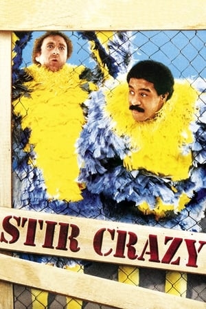 دانلود فیلم Stir Crazy