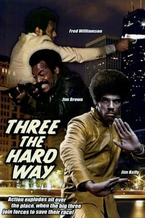 دانلود فیلم Three the Hard Way