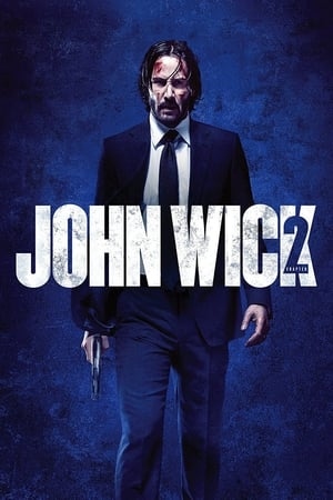 دانلود فیلم John Wick Chapter 2