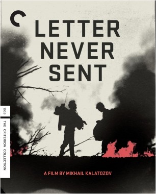 Letter Never Sent