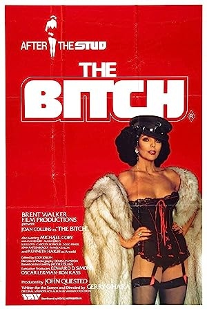 دانلود فیلم The Bitch