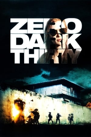 دانلود فیلم Zero Dark Thirty