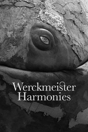 دانلود فیلم Werckmeister Harmonies