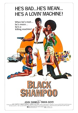 دانلود فیلم Black Shampoo