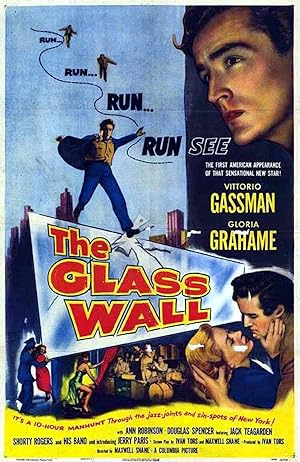 دانلود فیلم The Glass Wall