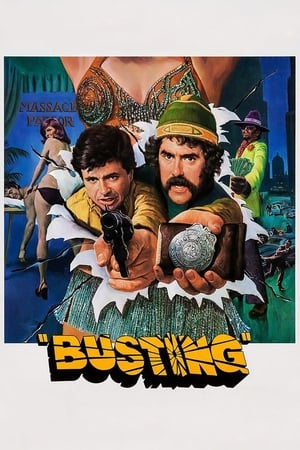 دانلود فیلم Busting